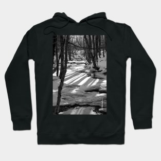 Snowshoeing Gifford Woods Hoodie